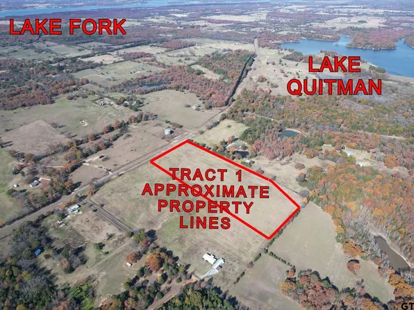 TRACT 1 Fm 2966, Quitman, TX 75783