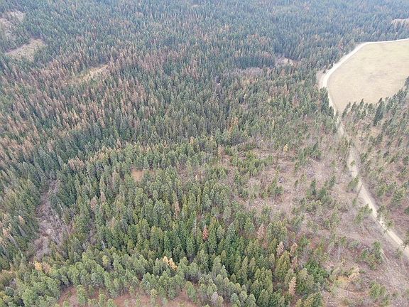 2nd image of 4 Deadman Creek Rd