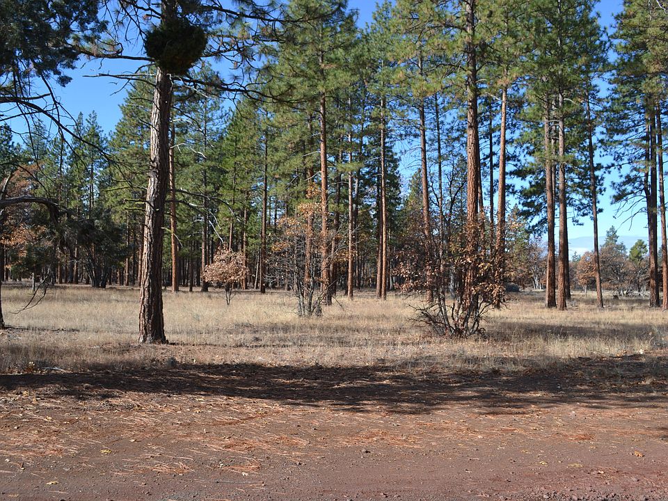 Nsd Day Rd, Mcarthur, CA 96056 Zillow