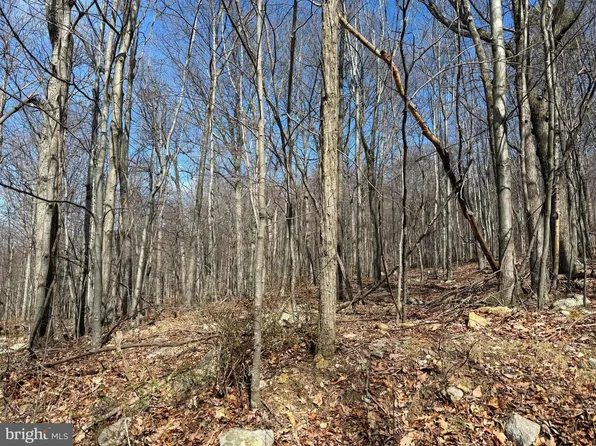 63 High Mountain View Rd, Romney, WV 26757