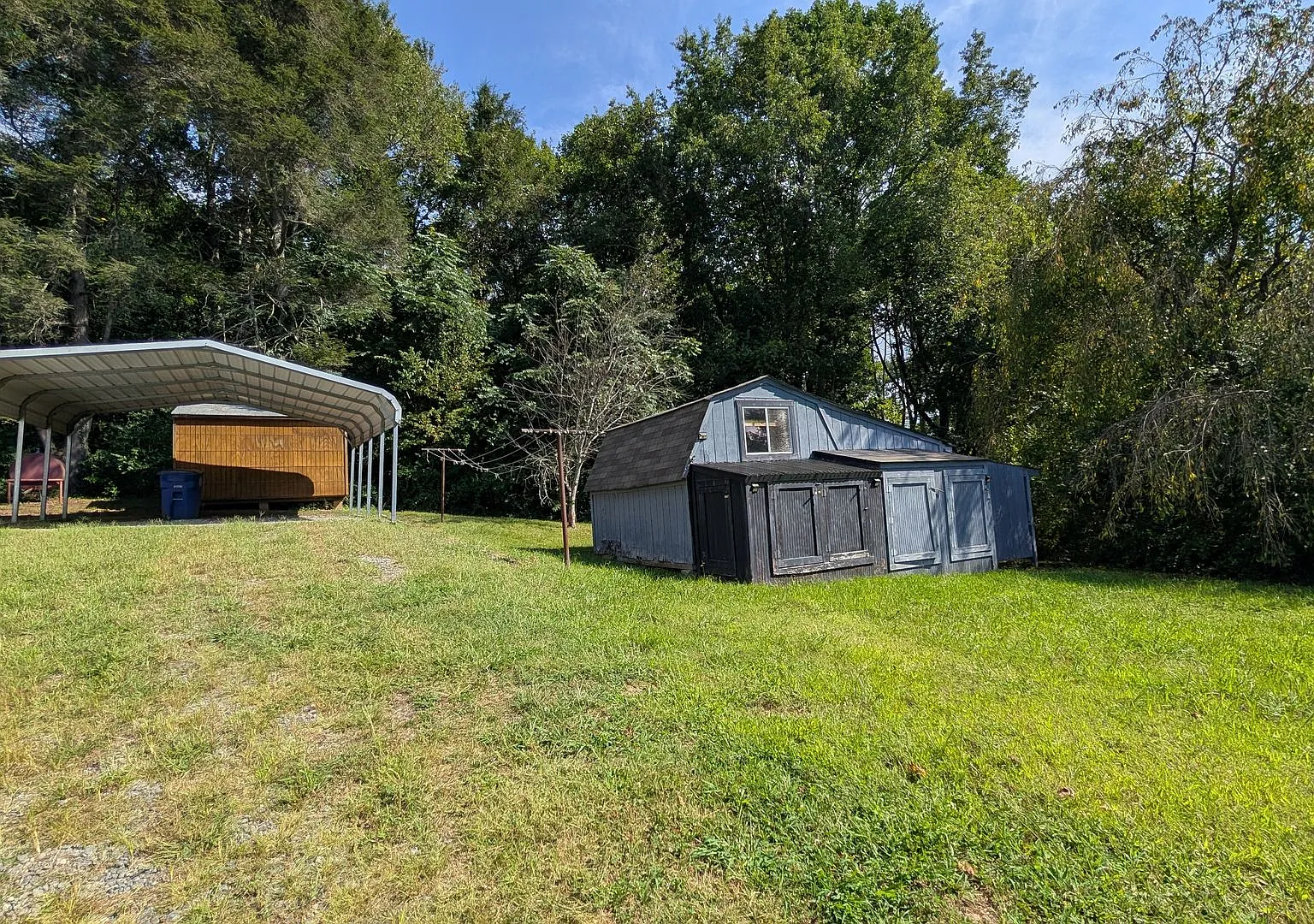 Black Mountain Rental w/ Yard and Storage Sheds — Photo 3