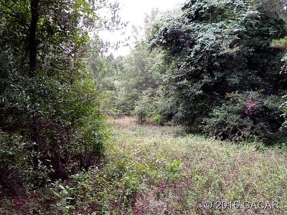 East portion of parcel