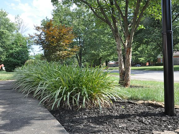 4th image of 3933 Manner Dale Dr