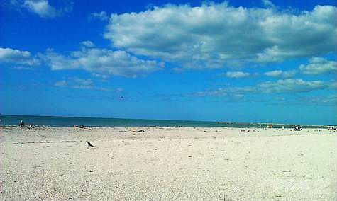 GORGEOUS GULF OF MEXICO BEACHES