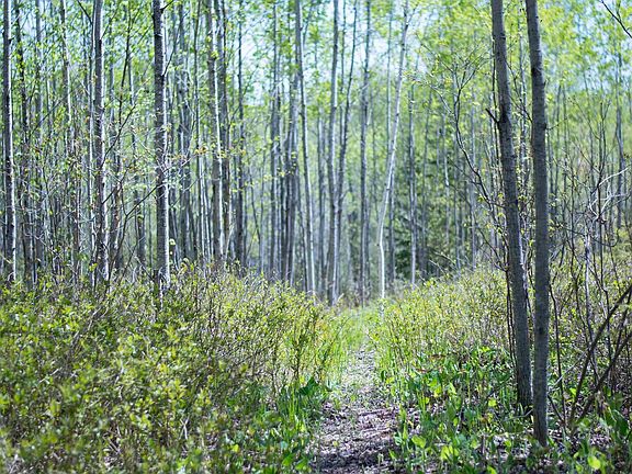 4th image of 13 Coyote Rdg