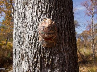 Off Cres #115, Carrollton, MS 38917