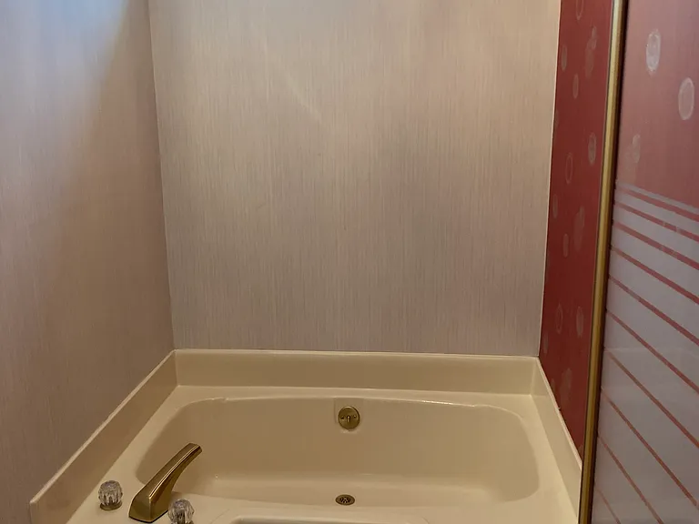 Garden Tub in Main Bedroom