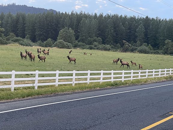 2nd image of 4340 State Highway 38