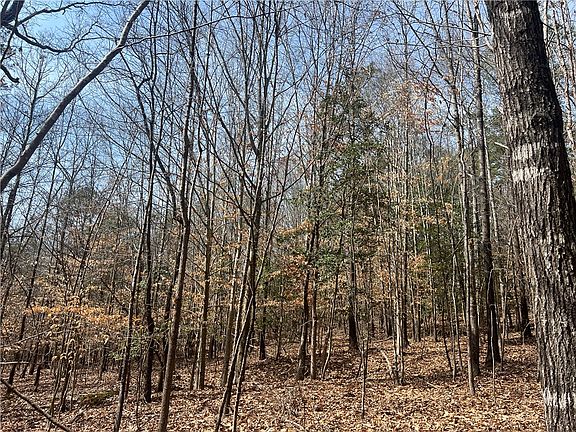 3rd image of TRACT Cann Rd #B