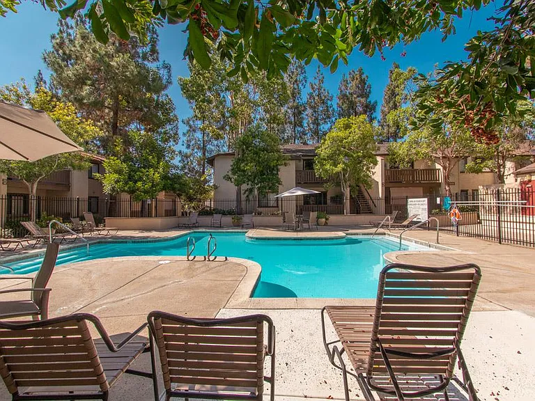 10202 Black Mountain Rd — Photo 15
