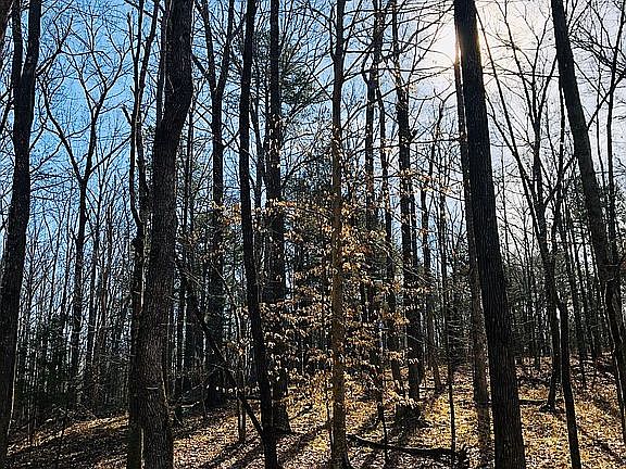 2nd image of 2166 County Road 85