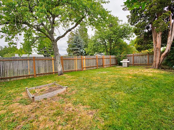 Fenced back yard