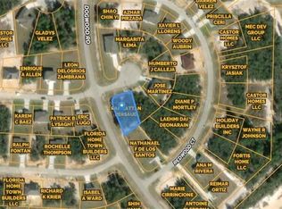 3 Sweet Pea Cir, Poinciana, FL 34759