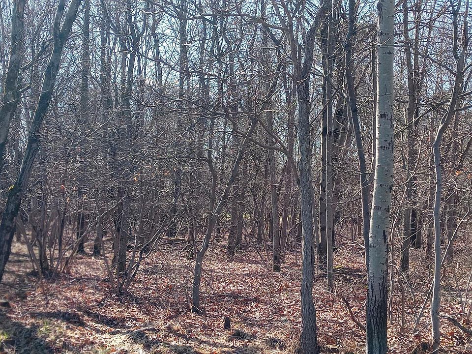 2nd image of Ev806 Stoney Mountain Rd