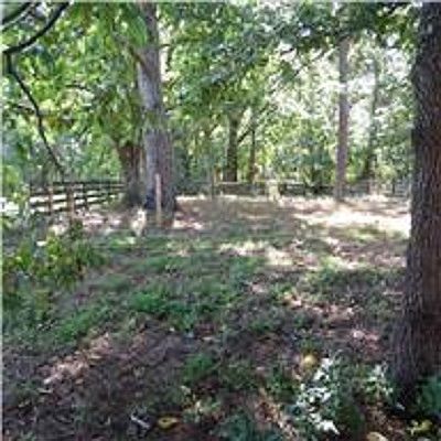 2nd image of 144 Old Jackson Highway #Land 1