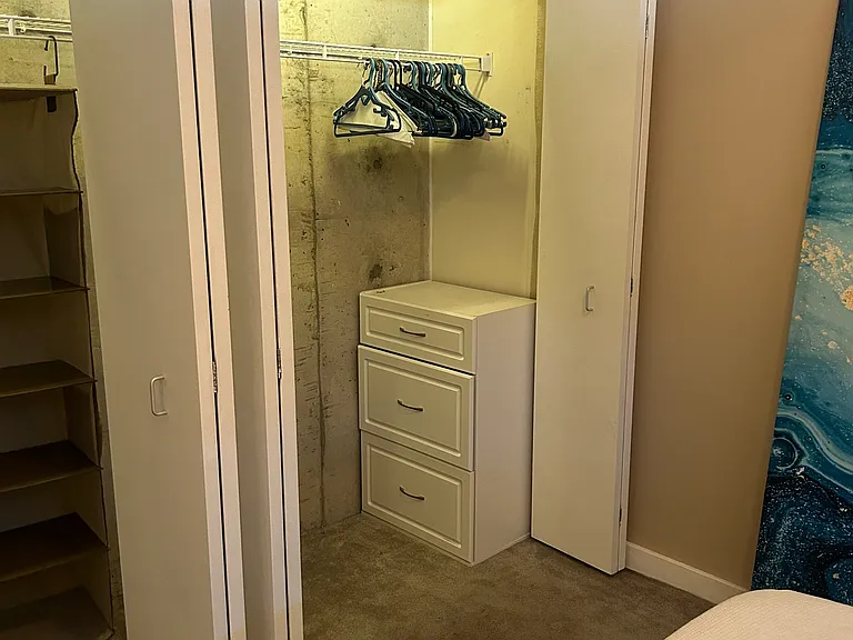 1720 S Michigan Ave #3207 — Photo 23