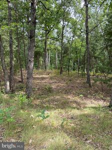 LOT 38 Janes Way, Yellow Spring, WV, 26865