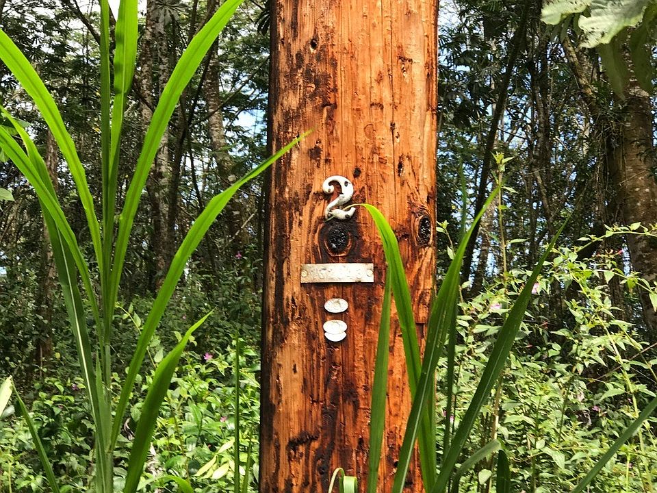 2nd image of Ginger Rd