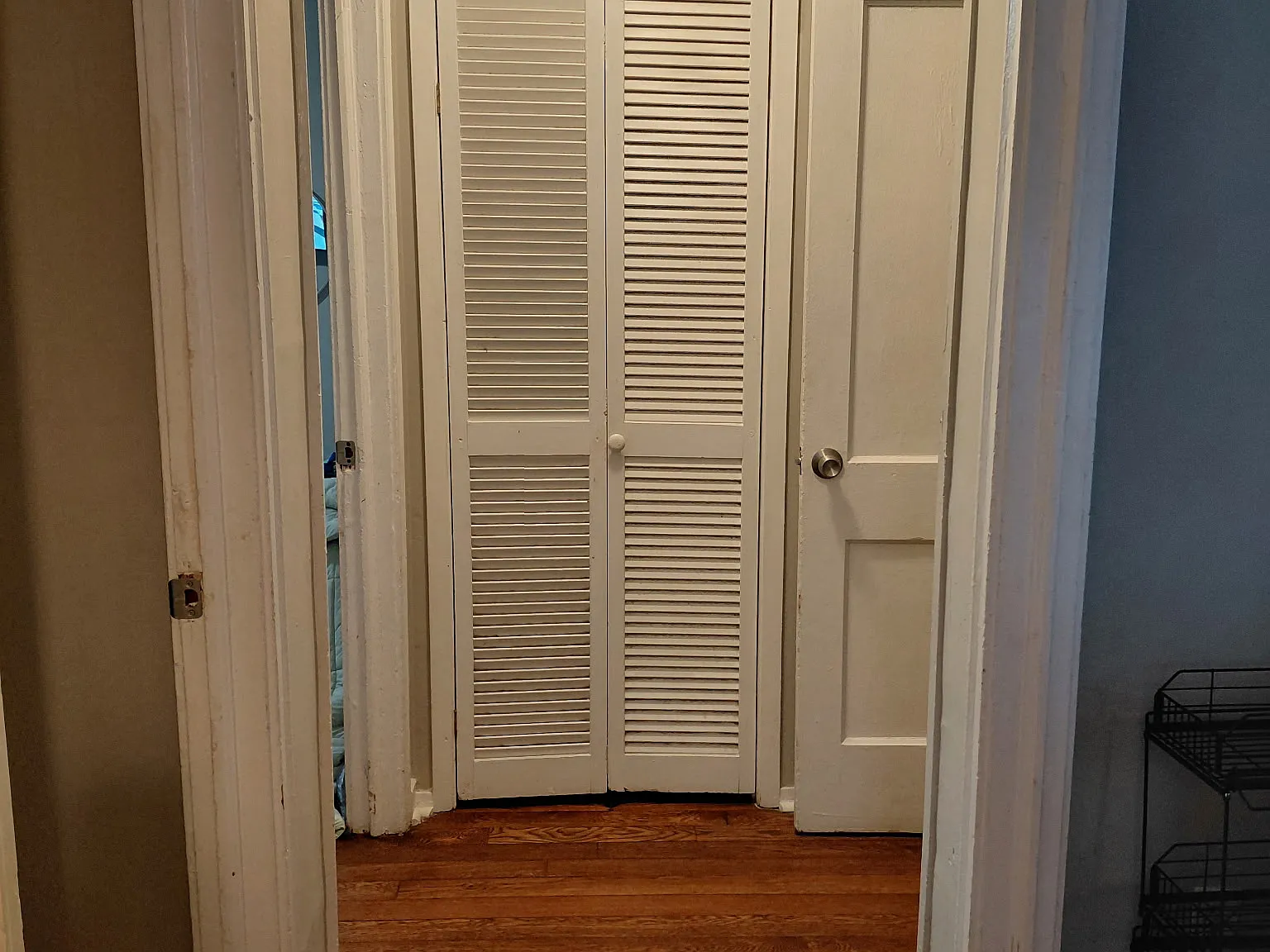 2 bed, 830 sqft, $1,300 — Photo 4