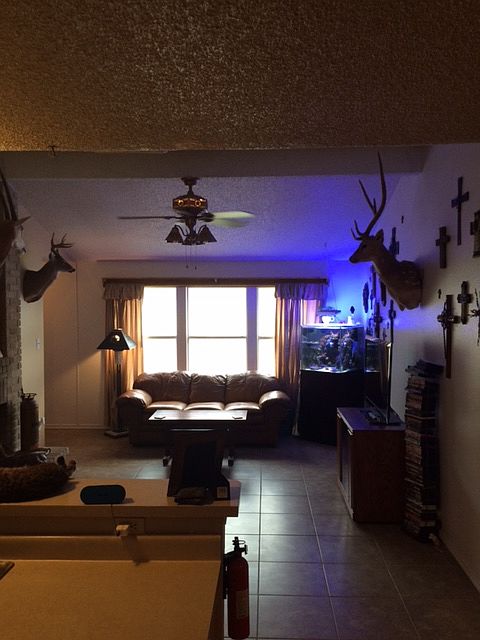 1st image of 719 Garden Meadow Dr