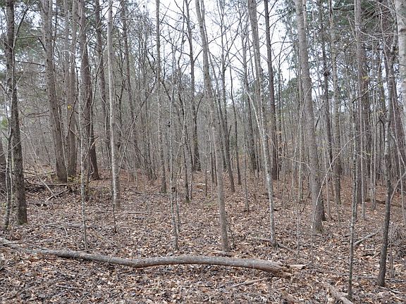 2nd image of 650 Water Shed Dr