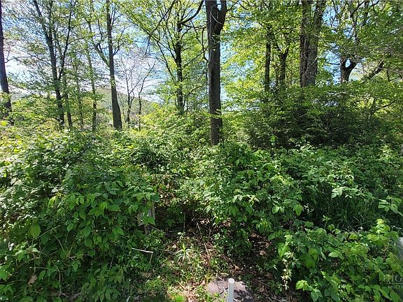 3rd image of Lot 8 Pasture Lane