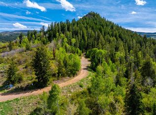 Youngs Creek Way, Oak Creek, CO 80467