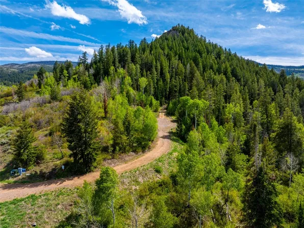 TBD Youngs Creek Way, Oak Creek, CO 80467