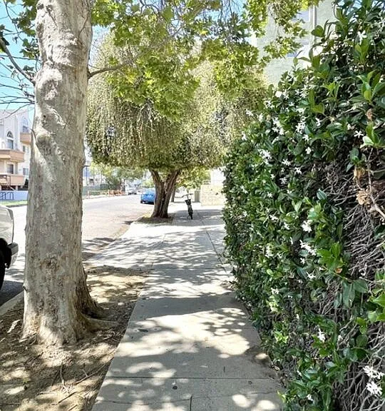 922 N Hudson Ave #10 — Photo 29