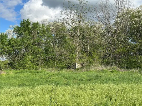 LOT 1 Albany Rd, Orrick, MO 64077