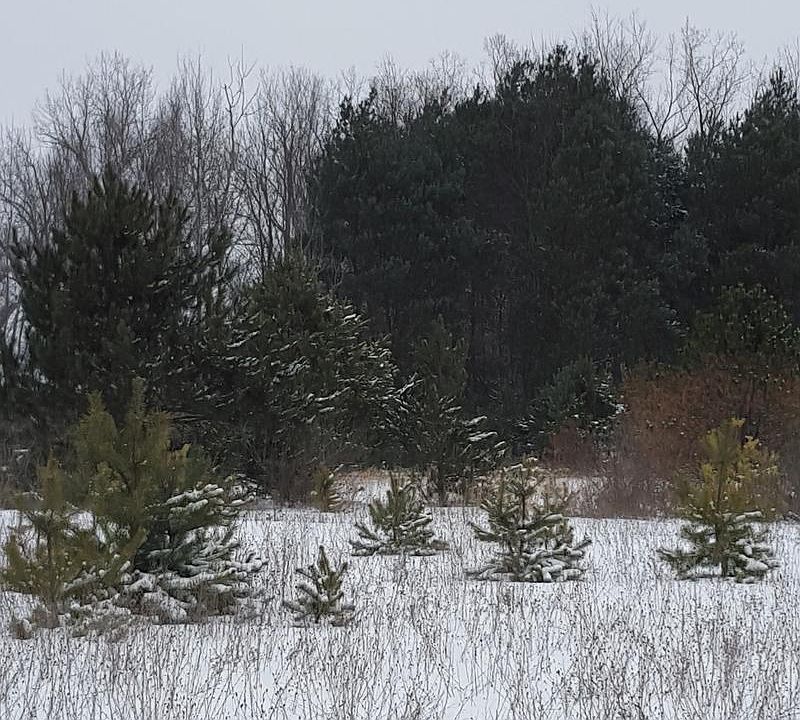 1st image of 0000 Willow Creek Dr