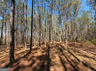 24/ACRE S On Ga Highway 1 Tract 34, Franklin, GA 30217