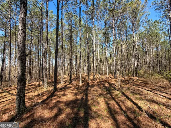 24/ACRE S On Ga Highway 1 Tract 34, Franklin, GA 30217