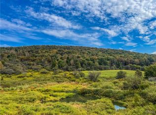 0 Lincklaen Rd #2, Truxton, NY 13158