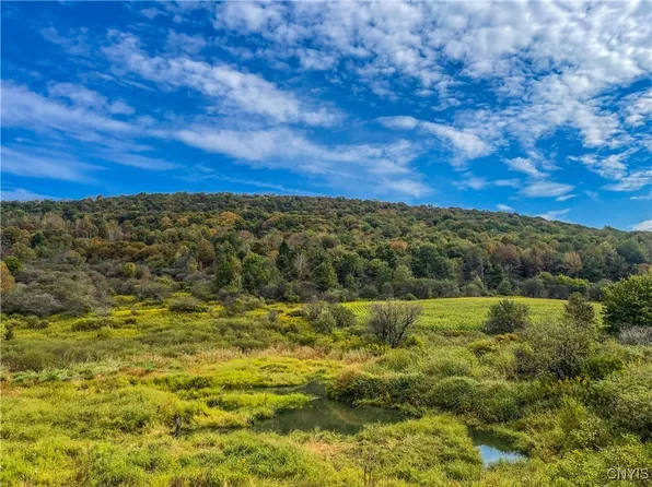 0 Lincklaen Rd #2, Truxton, NY 13158