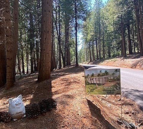 2nd image of 7255 Capps Crossing Rd