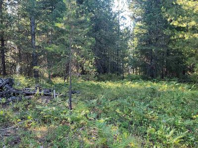 641 Overlook Dr, Newport, WA, 99156