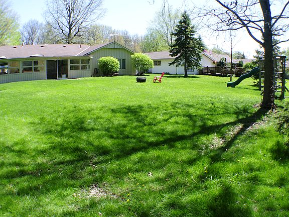 Back Yard - Sunshine!