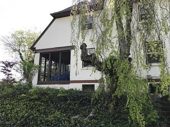 5th image of 31 Howard Ave