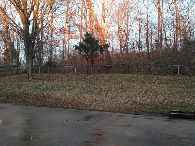 133 Needles Ct — Photo 6