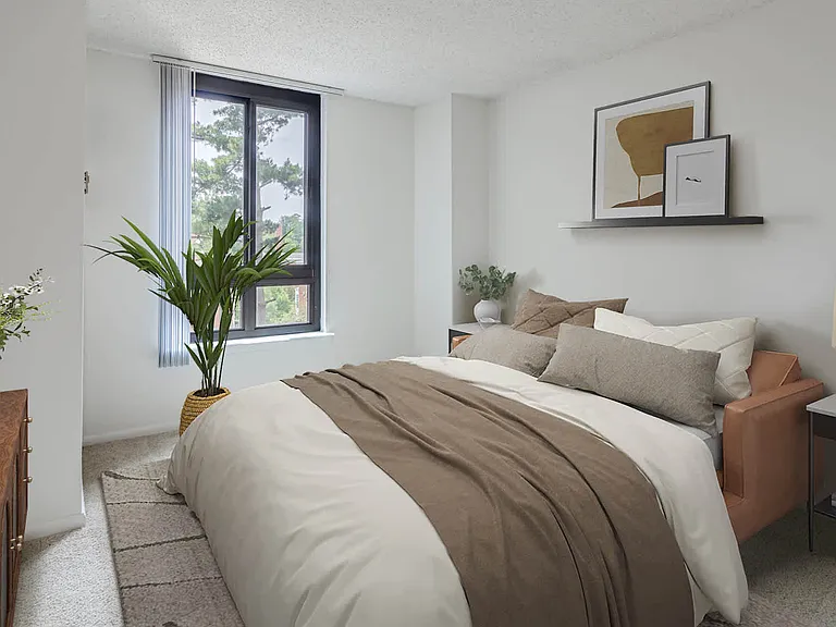 Carpeted Bedroom