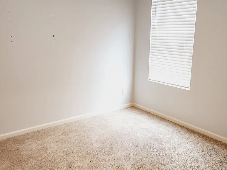 216 Chelsea Park Rd — Photo 11