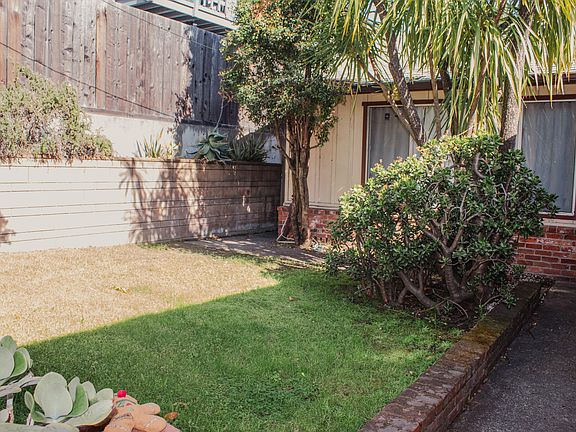 View of part of the front yard and the raised planter that runs along the side of the house. A lovely tall pam tree welcomes you home.
