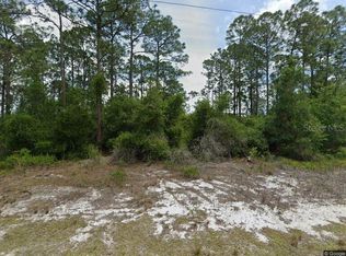 479 Johnson Ave NE Lot 100, Lake Placid, FL 33852