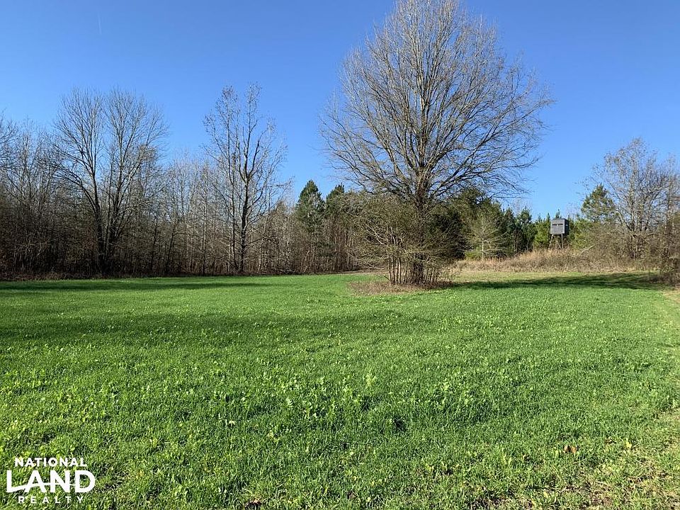 Food Plot with 2 man fiber glass deer blind