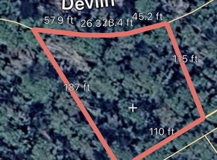 LOT 102 Devlin Dr, Brookeland, TX 75931