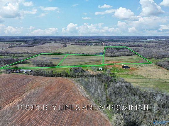 2nd image of 60/ACRE S County Road 460