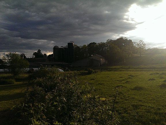 Sunset at back property line with farm.