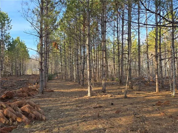 Lot 2 County Road S, Wheeler, WI 54730