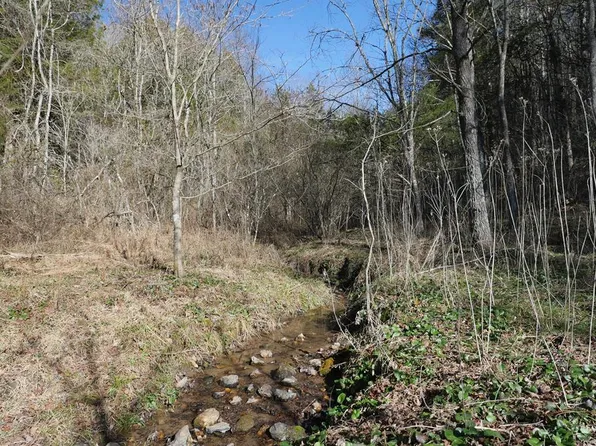 Dean Rd, Rose Hill, VA 24281